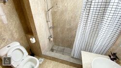 The Lakeshore (D22), Condominium #555975351